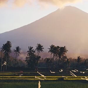 Volcanic Mount Gunung Batur