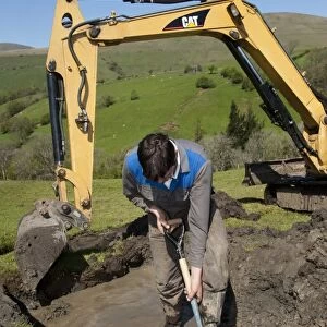 Farmer repairing old blocked drain in upland meadow using mini digger and spade, Cumbria, England, May