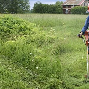 Man using strimmer on farm, cutting back vegetation around sheds, Sweden