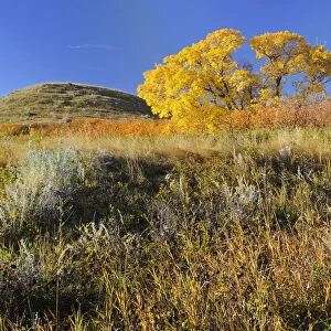 Canada, Saskatchewan, Saskatchewan Landing Provincial Park. Hills in autumn. Credit as
