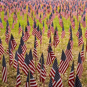 USA, Georgia, Savannah. Memorial Day celebration with American flag
