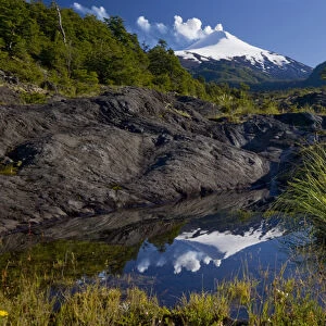 Villarrica National Park, Chile. South America