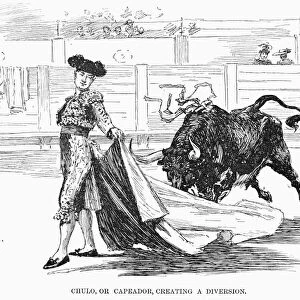 SPAIN: BULLFIGHTING, 1891. Chulo, or capeador, creating a diversion. Madrid. Line drawing