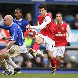 Arsenal's Triumph at Goodison Park: March 18, 2007 (1-0 Victory)