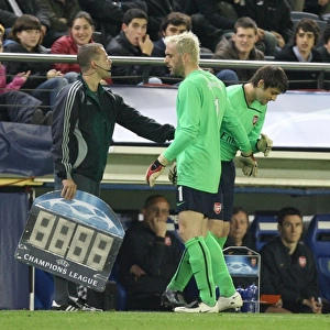 Injured Arsenal goalkeeper Manuel Almunia is replaced