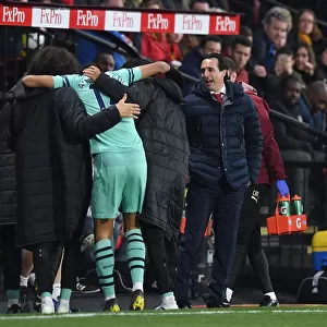 Unai Emery Celebrates Aubameyang's Goal: Arsenal's Victory at Watford (2018-19)
