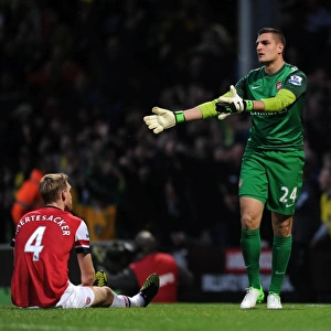 Vito Mannone: Arsenal's Away Goalkeeper at Norwich City (2012-13)