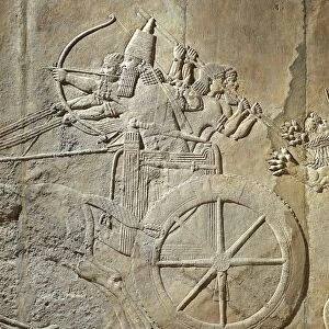 Ashurbanipal hunting, the king on his chariot, bas-relief from Nineveh, Irak, detail