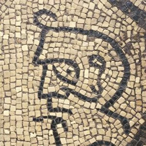 Italy, Friuli Venezia Giulia, Aquileia, Udine province, Patriarchal Basilica of Saint Mary, Early Christian mosaic flooring representing the Devil