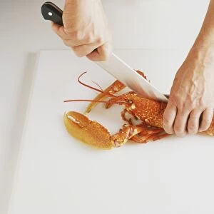 Turn lobster to face you and cut through the head with a large knife