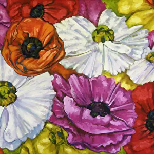 Oil Painting of Ranunculus Flowers
