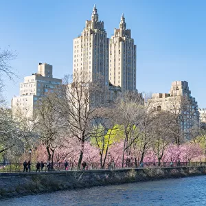 Architectures of Central Park West Historic District behind the rows of Cherry blossoms trees