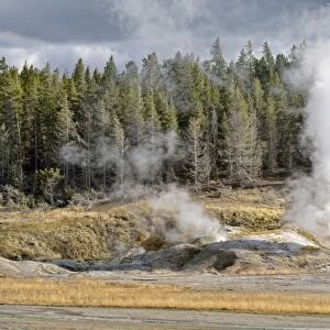 Black Growler Steam Vent, Porcelain Basin, Norris Geyser Basin, Yellowstone National Park, Wyoming, USA