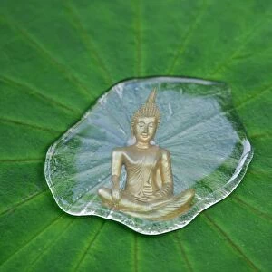 Buddha statue reflected in a drop of water on a lotus leaf
