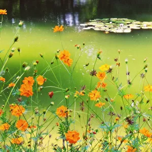 Green Pond