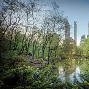 Looking East on the Duck Pond and Skyscrapers in Central Park