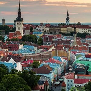 Magical Tallinn