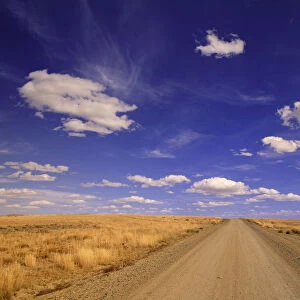 USA, Wyoming, Red Desert, cumulus clouds over gravel range road