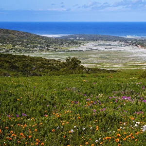 West Coast National Park. Western Cape Province. South Africa