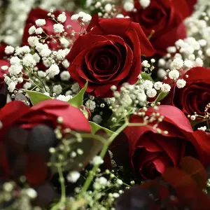 MELBOURNE VALENTINES DAY FEATURE
