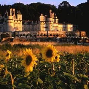 France - Loire Valley - Chateau at Usse