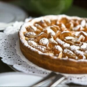 French apricot tart, in Patisserie Lenoir in Valbonne, south of France credit