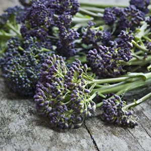 Fresh, raw, purple sprouting broccolli credit: Marie-Louise Avery / thePictureKitchen