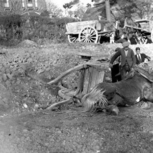 Horse mishap, overturned cart, fallen down horse (Sidcup Hill). 1934