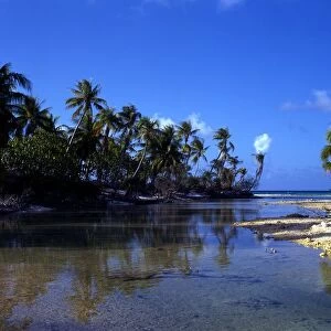Polynesia Island on Rangiroa atoll
