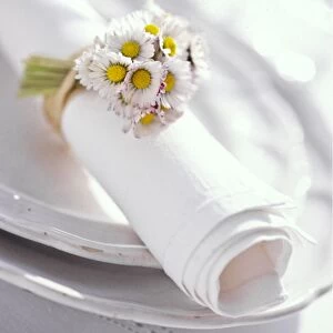 Rolled white napkin tied with a bunch of daisies, on white plates. credit: Marie-Louise