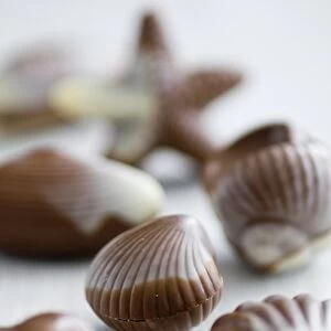 Selection of shell shaped chocolates on white surface. credit: Marie-Louise Avery