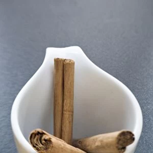 Sticks of cinnamon in small white cup credit: Marie-Louise Avery / thePictureKitchen