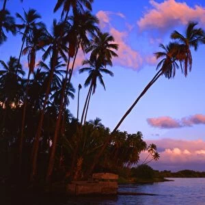 Tropical beauty. Hawaii group. Molokai Island