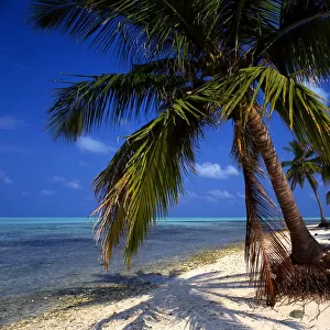 Tropical beauty Laccadives [Lakshadweep] Islands. Bangaram