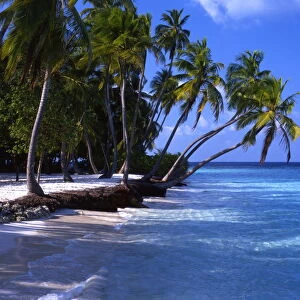 Tropical Islands - Maldives - Little Bandos with No Human Figure