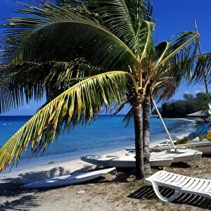 West Indies Grenadines Moustique