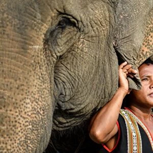 A Mahout poses with his elephant