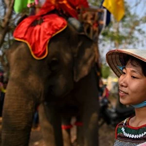 A spectator waits for the start of the elephant race during the Buon Don elephant festival in Vietnams central highlands of Dak Lak province