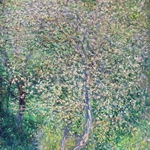 Apple trees in bloom at water's edge, 1880 (oil on canvas)