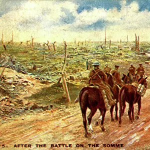 After the Battle of the Somme
