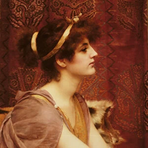 A Classical Beauty, 1892 (oil on canvas)