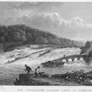 The Coleraine Salmon Leap, County Londonderry (engraving)