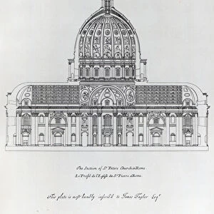 A cross-section of St. Peter s, Rome (engraving)