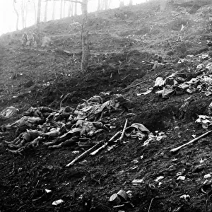 Dead Soldiers in No Mans Land, World War One (b / w photo)