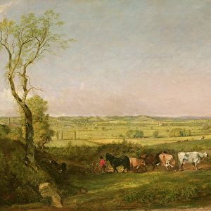 Dedham Vale: Morning, c. 1811