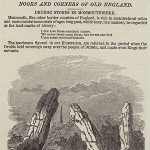 Druidic Stones in Monmouthshire (engraving)