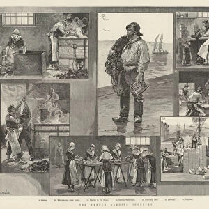 The French Sardine Industry (engraving)
