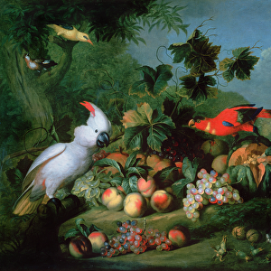 Fruit and Birds