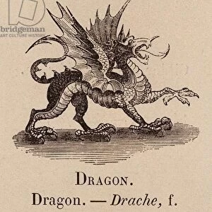 Le Vocabulaire Illustre: Dragon; Drache (engraving)