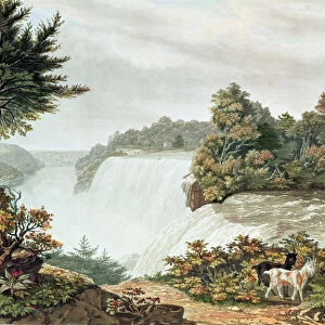 Niagara Falls, from Goat Island (colour litho)